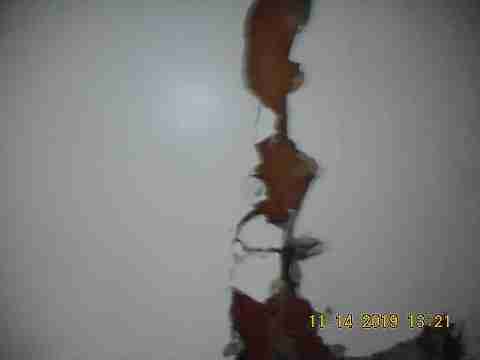 14179 Fielding (51)_m.jpg